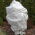 Bulu musim dingin putih (agrotextile) - melindungi tanaman dari embun beku - 0,80 x 10,00 m - 