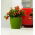 Blumentopf "Coubi Duo" ø 19 cm - neuolivgrün - 