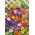 Plantes Grimpantes - Mélange - Couverture florale grimpante de 300 cm - Graines fraîches