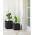"Cube" pot tanaman biji-bijian kayu persegi - coklat - 