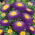 Blauwe pompombloemige aster - 500 zaden - Callistephus chinensis