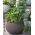 "Cozies S" pot tanaman gantung - ø 28 cm - coklat tua - 