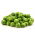 Brussels Sprouts Casiopea seeds - Brassica oleracea convar.oleracea var.gemmifera - 640 seeds