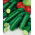 Üvegházi uborka magok - Cucumis sativus - 18 mag - Cucumis sativus L.