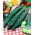 Cucumber "Telegraph Improved" - salad, extremely long - up to 40 cm - variety - 150 seeds