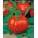 Tomate – Morning - 400 graines - Lycopersicon esculentum Mill