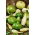 Fleskalebas - gemend - 7 zaden - Lagenaria siceraria