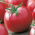 Tomato - Malinowy Kujawski - Large, Juicy Pink-Red Fruits - Fresh Seeds