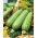 Courgette - Nimba - 12 graines - Cucurbita pepo
