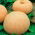 Riesenkürbis ‘Melonengelb’  - Cucurbita maxima - 12 Samen