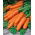 Carote - Migon - Baby - 240 semi - Daucus carota ssp. sativus