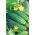 Cetriolo - Dalila F1 - 200 semi - Cucumis sativus