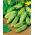 Cucumber Wisconsin SMR 58 seeds - Cucumis sativus - 250 seeds