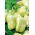 Peperone – Aurora - dolce - 65 semi - Capsicum L.