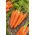 Carrot - Koral - 50 g - Sweet Roots, Perfect Fresh Snack - Fresh Seeds