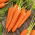 Carrot - Koral - 50 g - Sweet Roots, Perfect Fresh Snack - Fresh Seeds