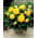 Begonia Fimbriata Yellow - 2 луковици