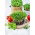 Microgreens - Koriander - Frischer Kick, angenehm zart - Samen