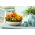 Tagetes - Sammets - Bonanza Series - 175 frön - Tagetes patula L.