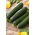 Kurpitsa - Kesä - BIO - Cucurbita pepo  - siemenet