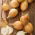 Bawang "Petra F1" - pelbagai awal, bulat, kuning-coklat - 1000 biji - Allium cepa L. - benih