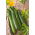 Courgette, Zucchini - Astra Polka - 100 g - Abundant Harvest, Perfect for Every Dish! - Fresh Seeds