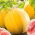 Arbuus - Złoto Wolicy - 9 seemned - Citrullus lanatus