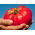 Himbeertomate - Bawole Serce - 10 g - Hoher Ertrag, für reichhaltige Sommerernte - Samen
