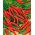 Paprika - Cayenna -  Capsicum annuum - Cayenna - magok
