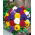 Stedmoderblomst - Szwajcarski - blanding - Viola ×wittrockiana - Tidligt forårsudbrud - Friske frø