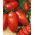 Tomate - Zyska - Lycopersicon esculentum Mill  - sementes