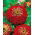Zinnia à fleurs de Dahlia - Jowita - Zinnia elegans - Fleurs rouges audacieuses, floraison longue durée - Graines fraîches