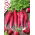 Ramolaccio - Ostergruß Rosa 2 - Raphanus sativus - Radici allungate, gusto intenso - Semi Freschi