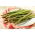 芦笋'玛丽华盛顿' -  Asparagus officinalis - 種子