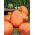 Giant squash "Golias" - 9 sjemenki - Cucurbita maxima  - sjemenke