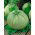 Hull-less squash 'Miranda' - 100 g
