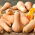 Butternut squash "Waltham Butternut" - 27 biji - Cucurbita moschata