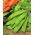 Sėjamasis žirnis - saccharatum - Oregon Sugar Pod - 200 sėklos - Pisum sativum var. saccharatum