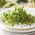 BIO EKO Sprouting seeds - Arugula - certified organic seeds; rocket