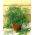 Endro  - Anethum graveolens L. - sementes