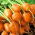 Carrot "Mercado de Paris 3" - Paris-type, round variety