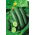 Agurk - Jazzer F1 - 10 frø - Cucumis sativus