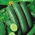 Agurk - Jazzer F1 - 10 frø - Cucumis sativus