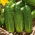 Огурец посевно́й - Edmar F1 - 105 семена - Cucumis sativus