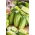 Gurka - Maksimus - Cucumis sativus - FRÖBAND