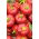 Paprikát - Alexander - 65 magok - Capsicum L.