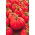 Tomate - Corazon F1 - Lycopersicon esculentum Mill  - semillas