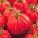 Tomate - Corazon F1 - Lycopersicon esculentum Mill  - semillas