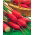 Radish "Pasja" - carmina-rosie, delicios de degustare varietate - Raphanus sativus L. - semințe