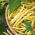 BIO Fagiolo nano giallo francese "Berggold" - semi biologici certificati - 